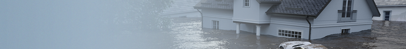 Header_Flood-Homepage.png