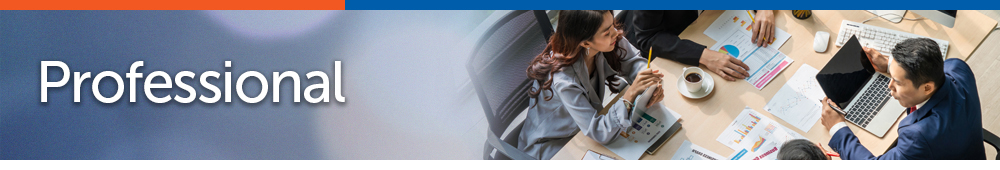 page banner_I-Professional.jpg