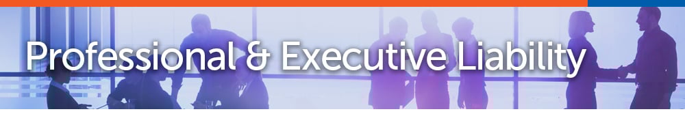 page banner_P-Professional & Executive PL.jpg