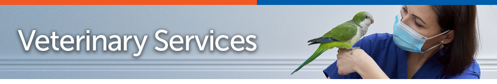 page banner_S-Veterinary Services.jpg